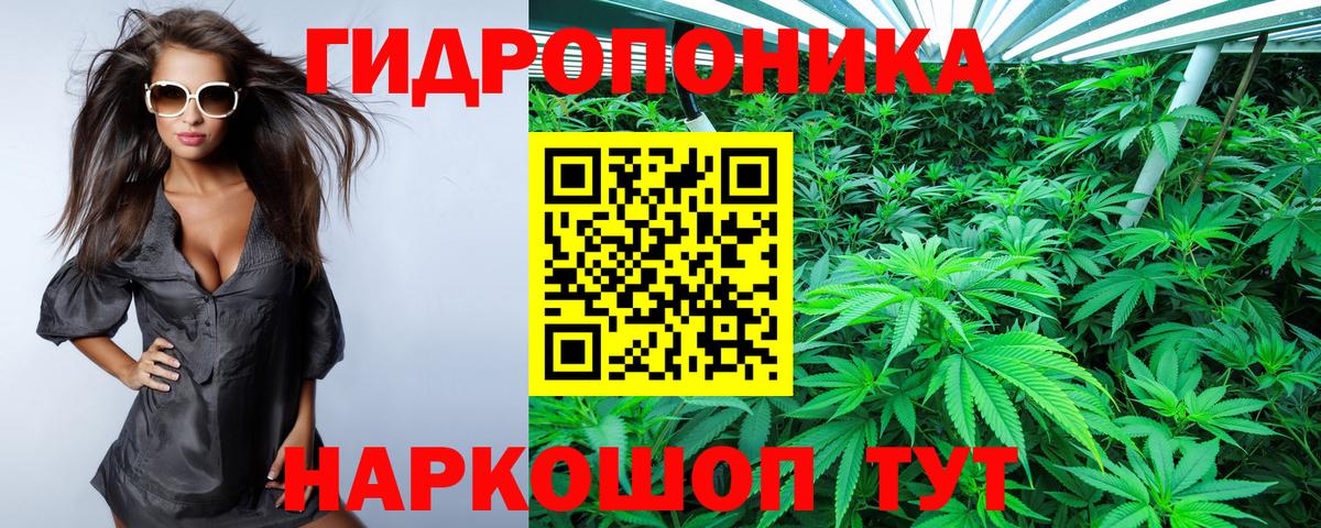 Кирово-Чепецк  Каннабис семена  Вход с VPN  Канабис AK-47  Шишки марихуана SATIVA & INDICA 